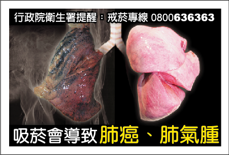 Taiwan 2008 Health Effects Lung - lung cancer and emphysema, healthy and diseased lung contrast